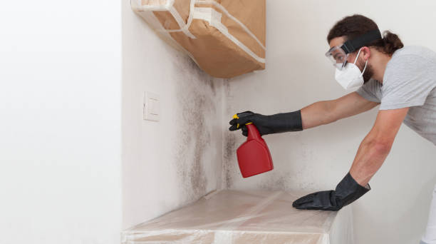 Professional Bathroom Mold Removal technician working in Chesapeake, VA