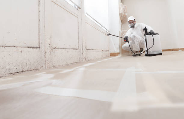 24/7 Emergency Bathroom Mold Removal experts in Chesapeake, VA